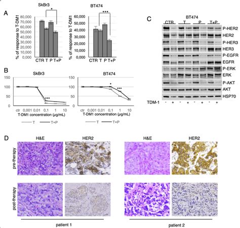 Combination of Pertuzumab and Trastuzumab in the Treatment of .